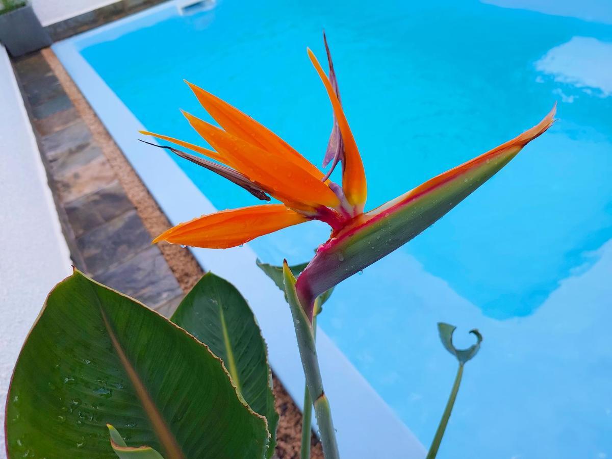 Golden Square Villa & Private Pool Flic-en-Flacq エクステリア 写真